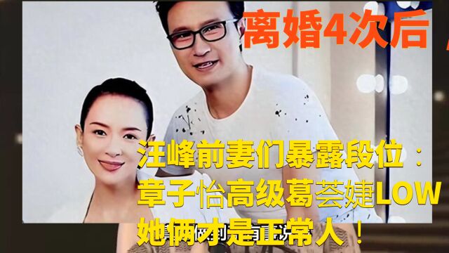 离婚4次后,汪峰前妻们暴露段位:章子怡高级葛荟婕LOW,她俩正常