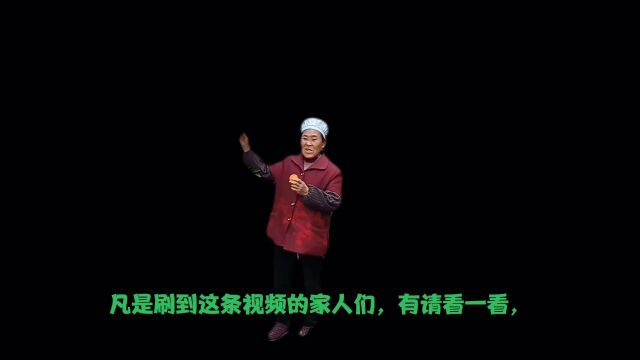 《姑姑的桔子园》