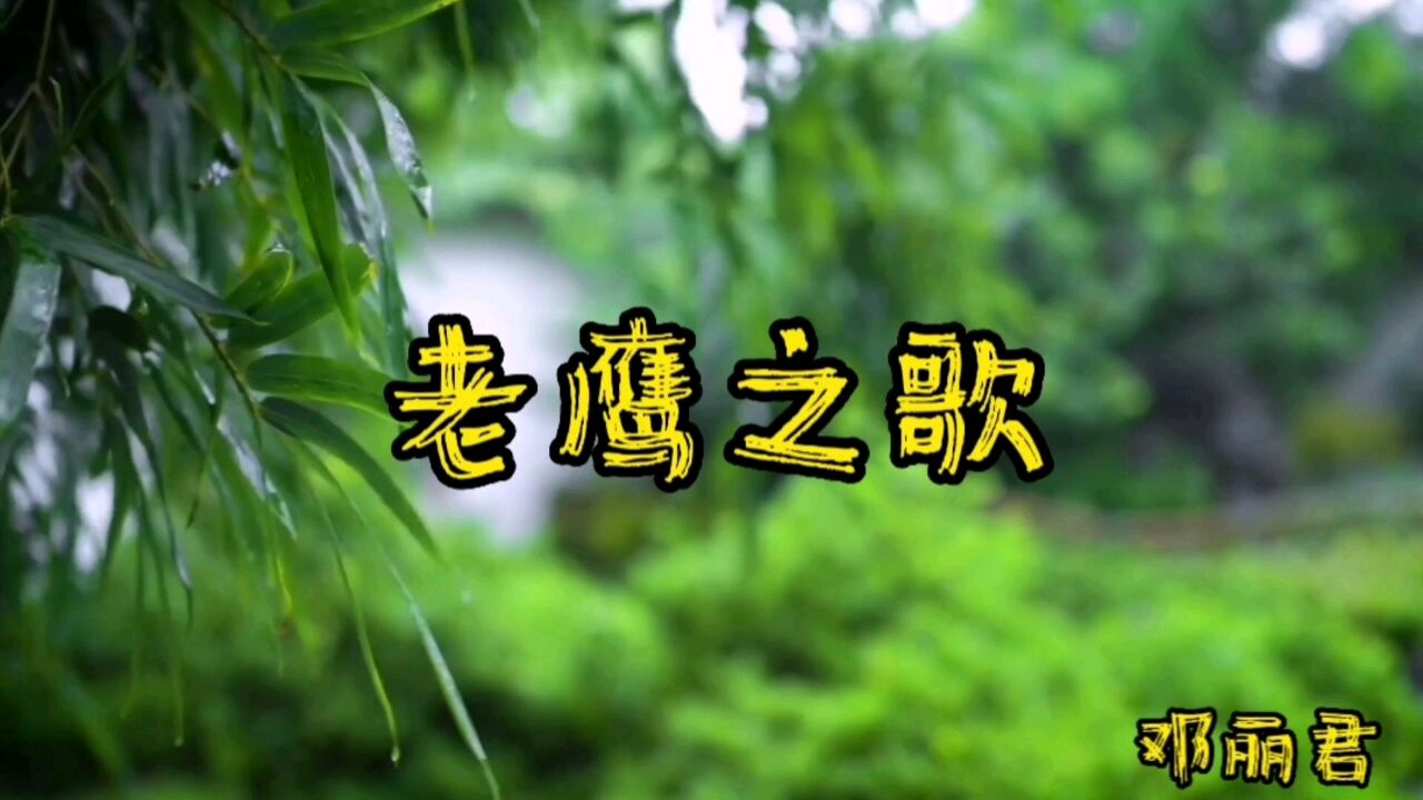 那些年优美的旋律,经典歌曲回放,老鹰之歌,邓丽君