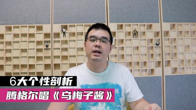 腾格尔唱《乌梅子酱》6大个性剖析 我们的歌第五季