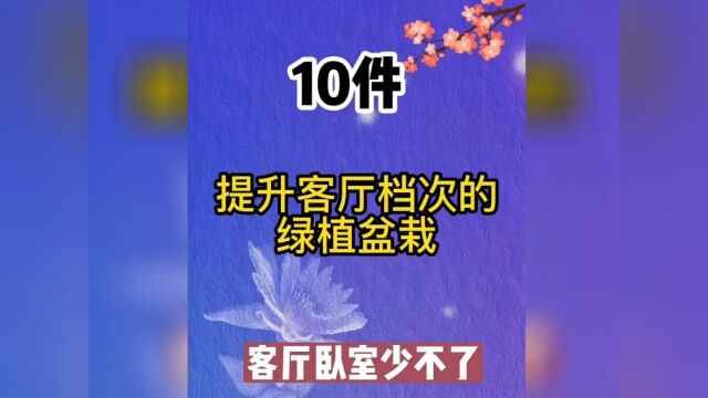 十件提升客厅档次的植物你知道吗