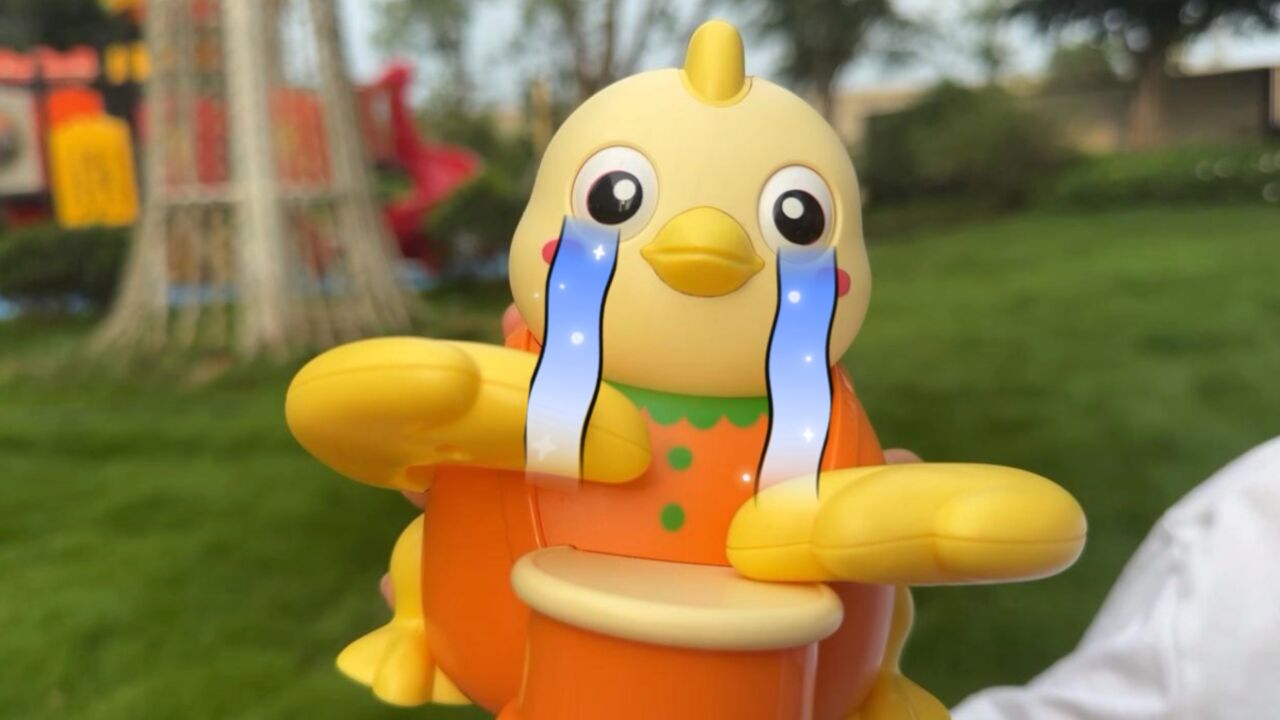 鸡宝宝们突然都不见了,鸡妈妈都要急哭了