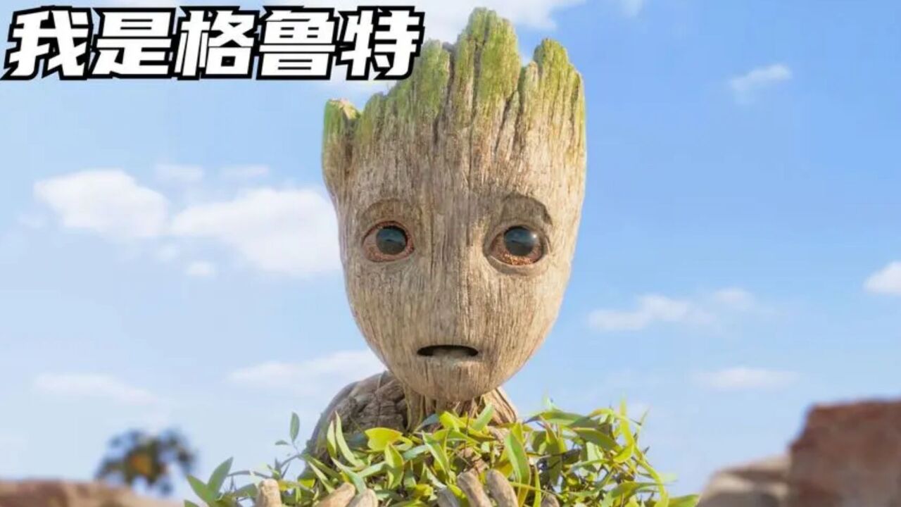 ӻС,С³صĳɳ֮