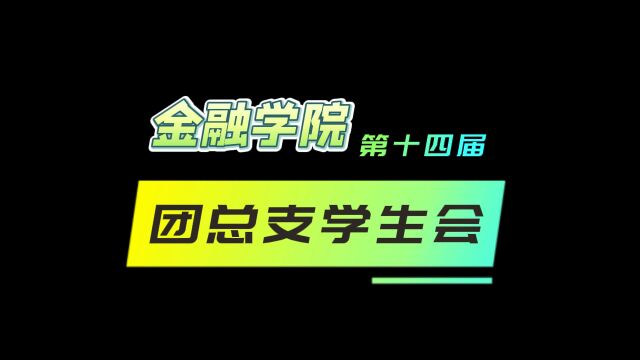 金融学院第十四届团总支学生会