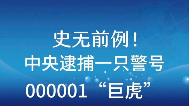 史无前例!中央逮捕一只警号000001“巨虎”