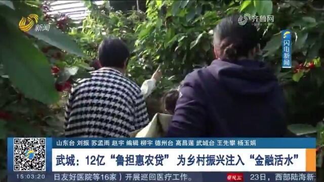 武城:扎实推行“鲁担惠农贷”,为乡村振兴注入“金融活水”