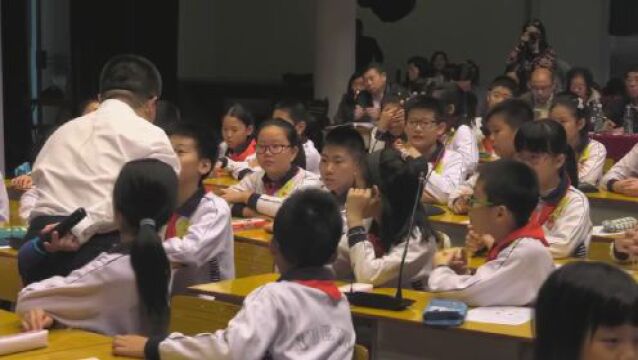 小学语文综合实践活动课公开课合集