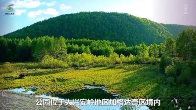 湿地风光与碧波林海的碰撞!甘河国家湿地公园风光如画