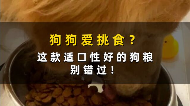 狗狗爱挑食?这款适口性好的狗粮别错过!