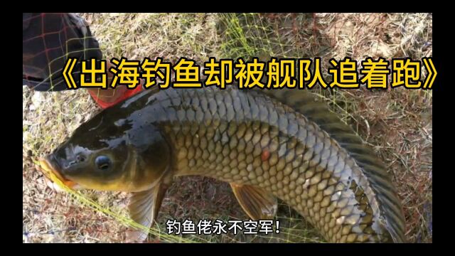 《出海钓鱼却被舰队追着跑》小说推荐全文完整版阅读