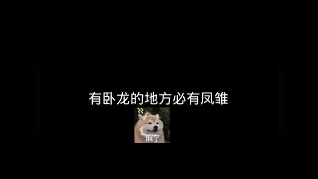 有卧龙的地方必有凤雏