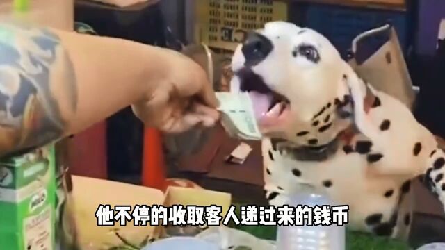 帮主人看守摊位的狗狗!