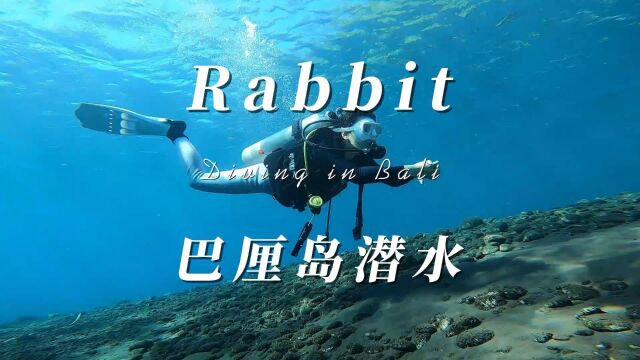 Rabbit巴厘岛潜水的一天 小姐姐来到巴厘岛过上了吃饭、睡觉、潜水的梦想生活,来看看她一天潜水的流水账,最后有小惊喜.#巴厘岛潜水 #潜水 #水肺潜水