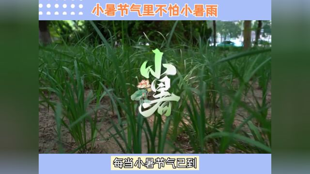 节气小知识