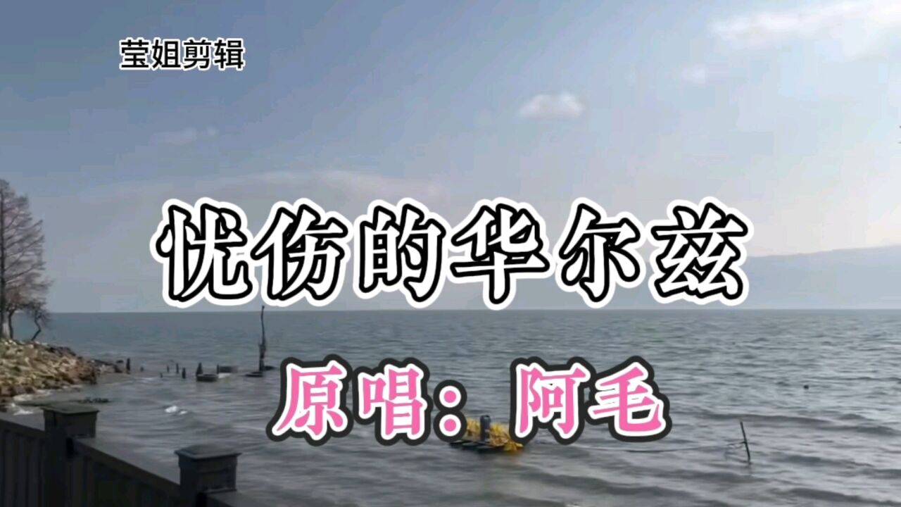 《忧伤华尔兹》原唱阿毛,伤感歌曲,旋律优美动听