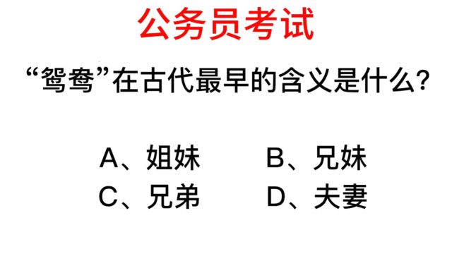 鸳鸯在古代表示什么?居然指的不是夫妻!