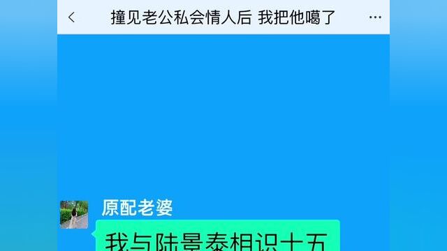 撞见老公私会情人后,我把他噶了,结局亮了,快点击上方链接观看精彩全文#聊天记录#小说 #小说推文