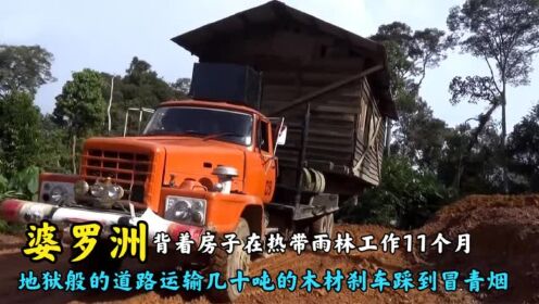 婆罗洲热带雨林玩命的魔鬼之路运输几十吨的木材刹车踩到冒烟