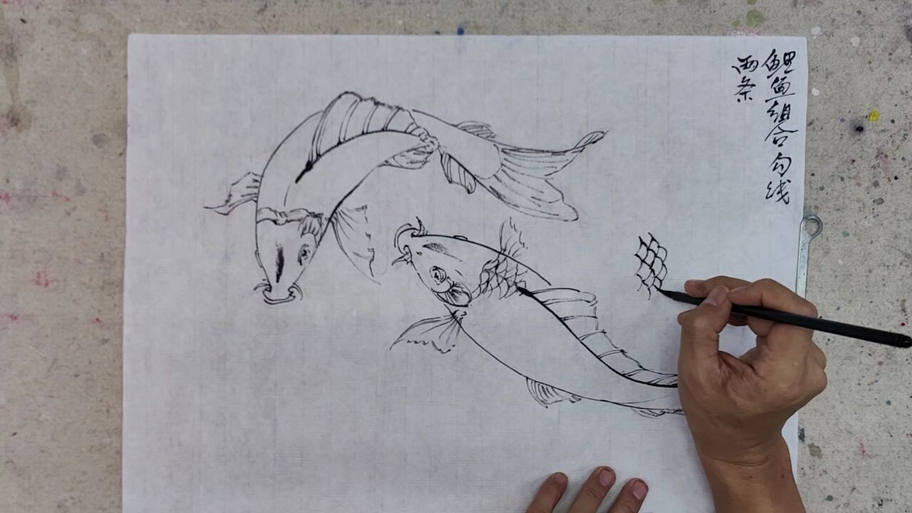 鲤鱼组合白描技法讲解