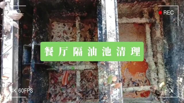 上海餐厅隔油池清理 上海清掏隔油池吸污