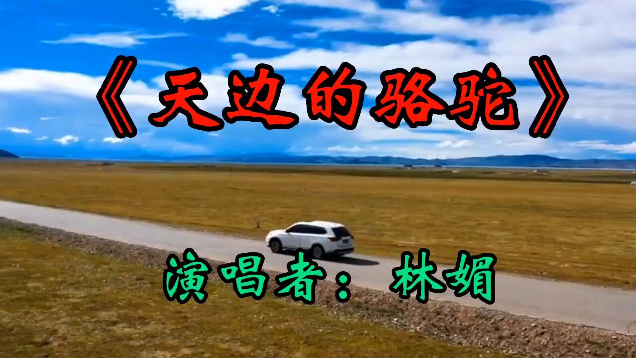 《天边的骆驼》林媚的这歌唱的太好听了,美仑美幻,美到极至啦!