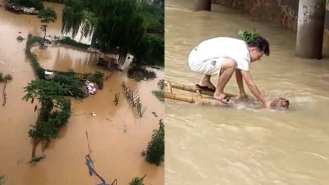 广西博白突降暴雨多地出现洪涝:农田被淹 男子深水中拉绳救狗