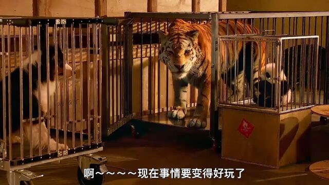 一只熊猫价值多少钱?