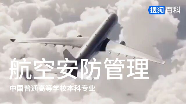 航空安防管理:公共管理类专业