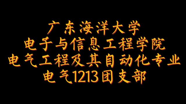 电气1213团支部活力在基层