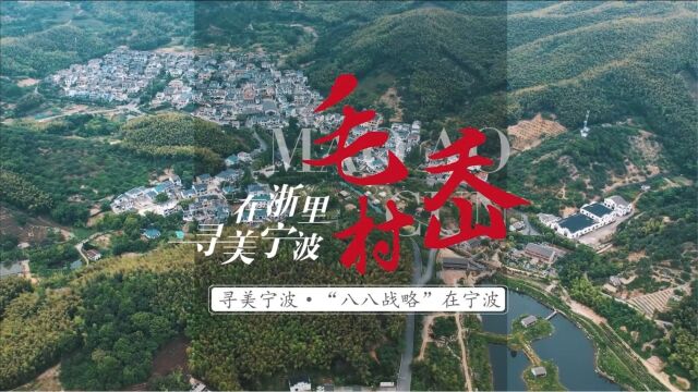 寻美宁波在浙里|毛岙村的故事