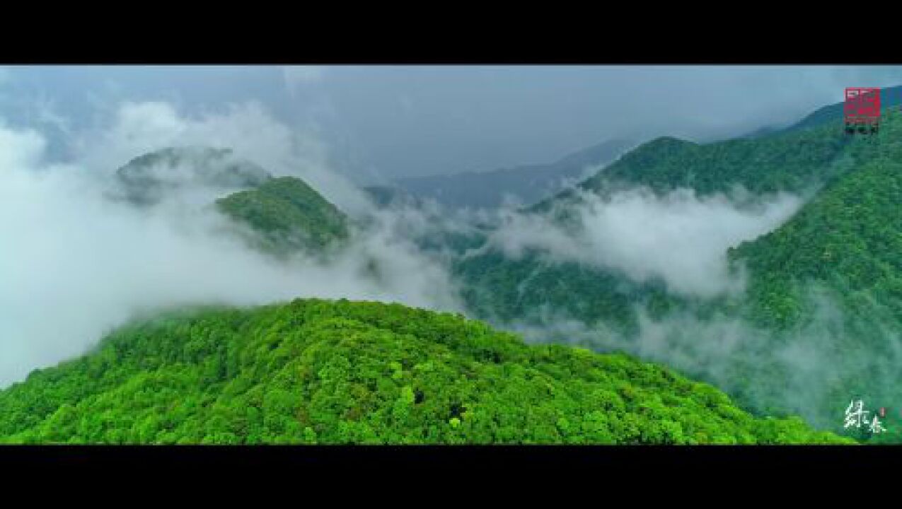 绿春文旅宣传片《这里是-绿春》(绿春版)_高清1080P在线观看平台_腾讯视频