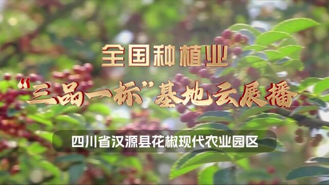 千年贡椒,香飘九洲!【全国种植业“三品一标”基地云展播】