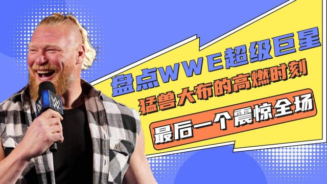 WWE超级巨星猛兽大布的各种高燃时刻