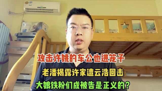 攻击许姚的车公进笼子,老潘揭露许家云浩回击,大娘铁粉们成被告