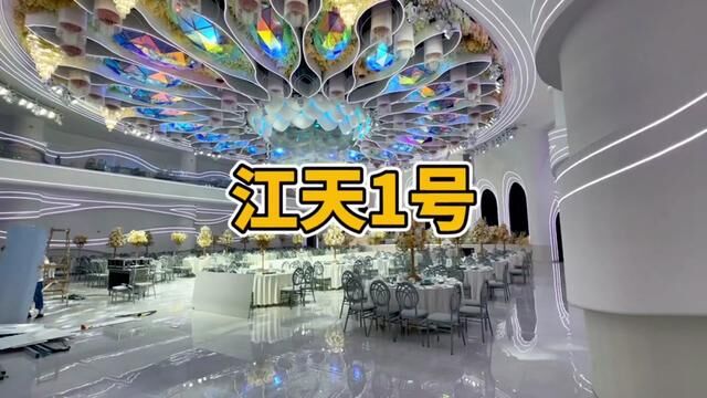 宁乡全新的豪华宴请、婚宴酒店.了解一下!#婚宴酒店 #宁乡 #宴会厅 #这店环境太好了 #商务宴请