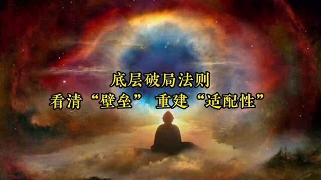 底层破局法则:看清“壁垒”,重建“适配性”