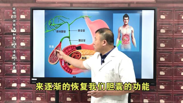 充满型胆结石,中医是如何化小排出的?一幅胆系统图讲清楚