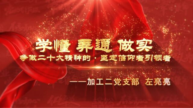 学懂弄通做实 争做二十大精神的 坚定信仰者引领者——加工二党支部