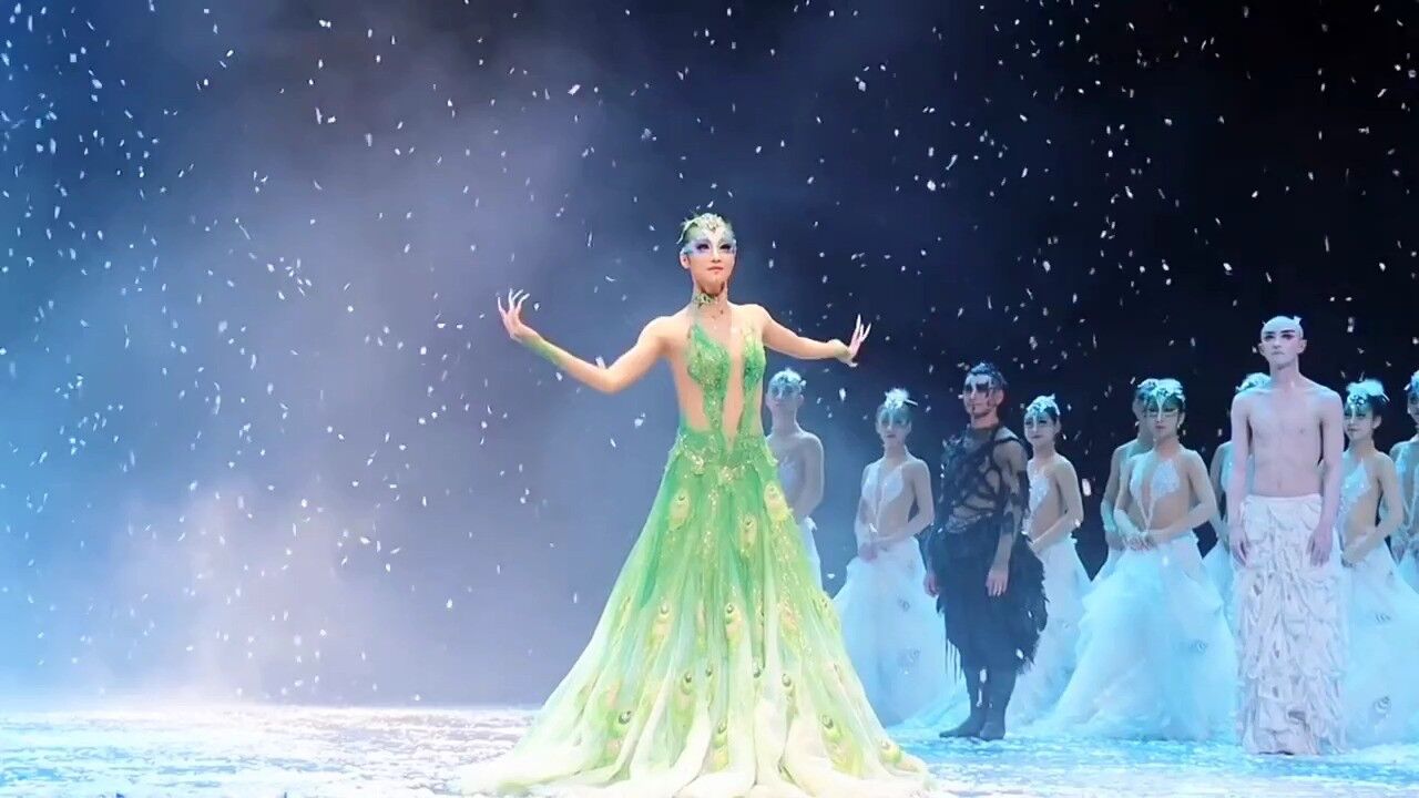 杨丽萍老师为舞蹈奉献一生!终于找到了传承者 #杨丽萍 #孔雀舞