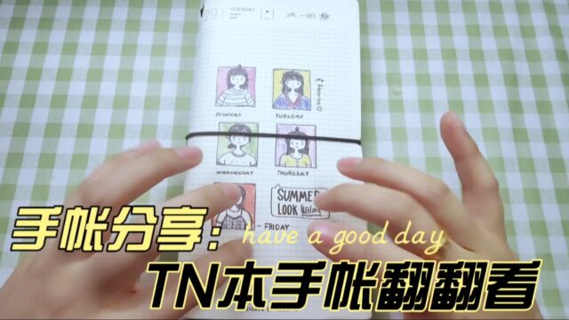 手帐本翻翻看|TN本拼贴排版,30+篇不重样