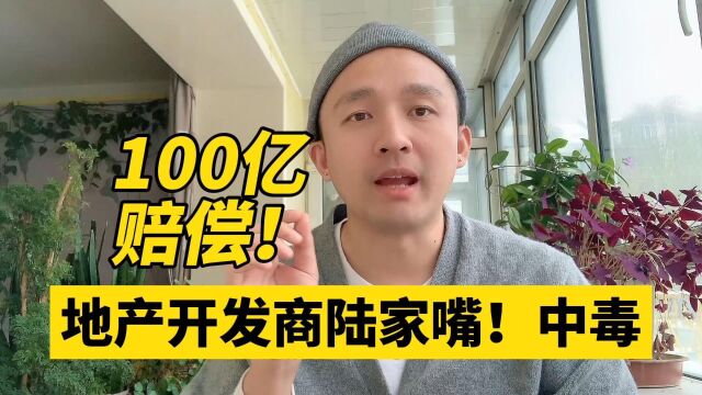 史上最大索赔 100亿!陆家嘴 苏钢集团