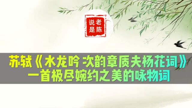 诗词赏析 | 苏轼《水龙吟ⷦ졩Ÿ𕧫 质夫杨花词》一首极尽婉约之美的咏物词