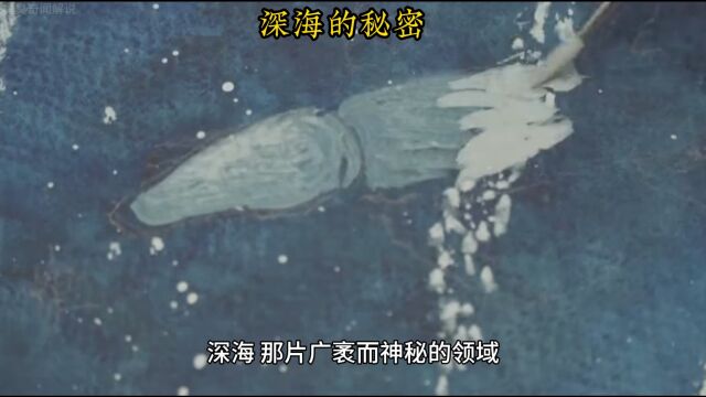 深海的秘密传说