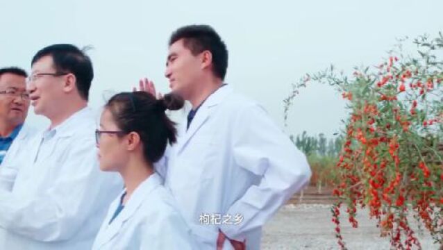 铸牢中华民族共同体意识公益广告 | 宁夏聚焦打造“六特”高质量产业基地