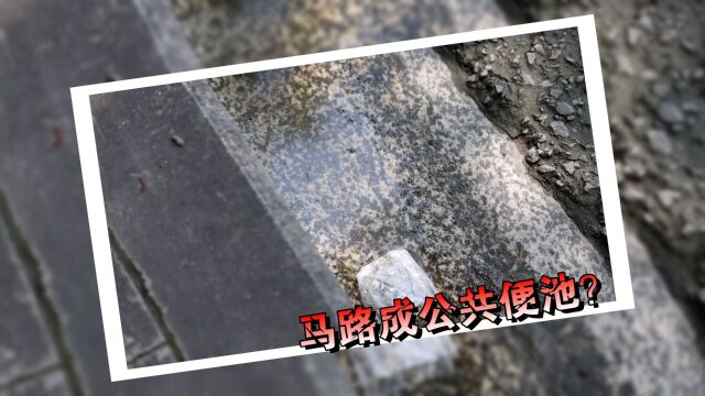 广州大道南路边成司机便池?市民吐槽:异味刺鼻不雅观!