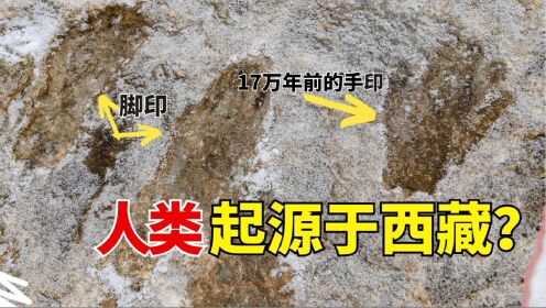 探访西藏17万年前古人类遗迹,人类起源于青藏高原吗?_高清1080P在线观看平台_腾讯视频