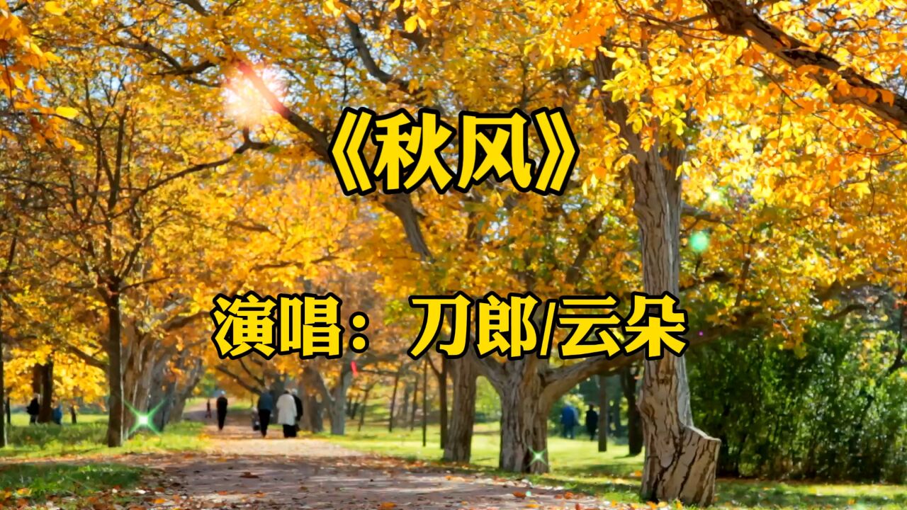 一首《秋风》刀郎/云朵师徒二人演唱太好听了,独特的组合唱出独特的