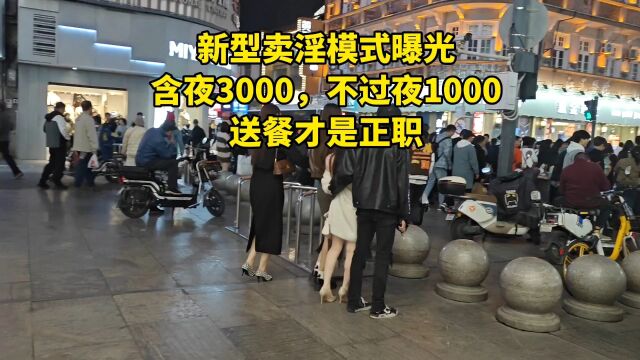 新型卖淫模式曝光:含夜3000,不过夜1000,送餐才是正职