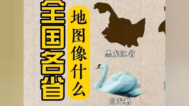 全国各省地图像什么?(第二期)#中国国家地理 #地理知识 #地理知识小视频