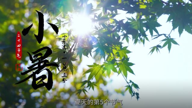 小暑 | 温风至,盛夏始,宜清心降暑祛湿